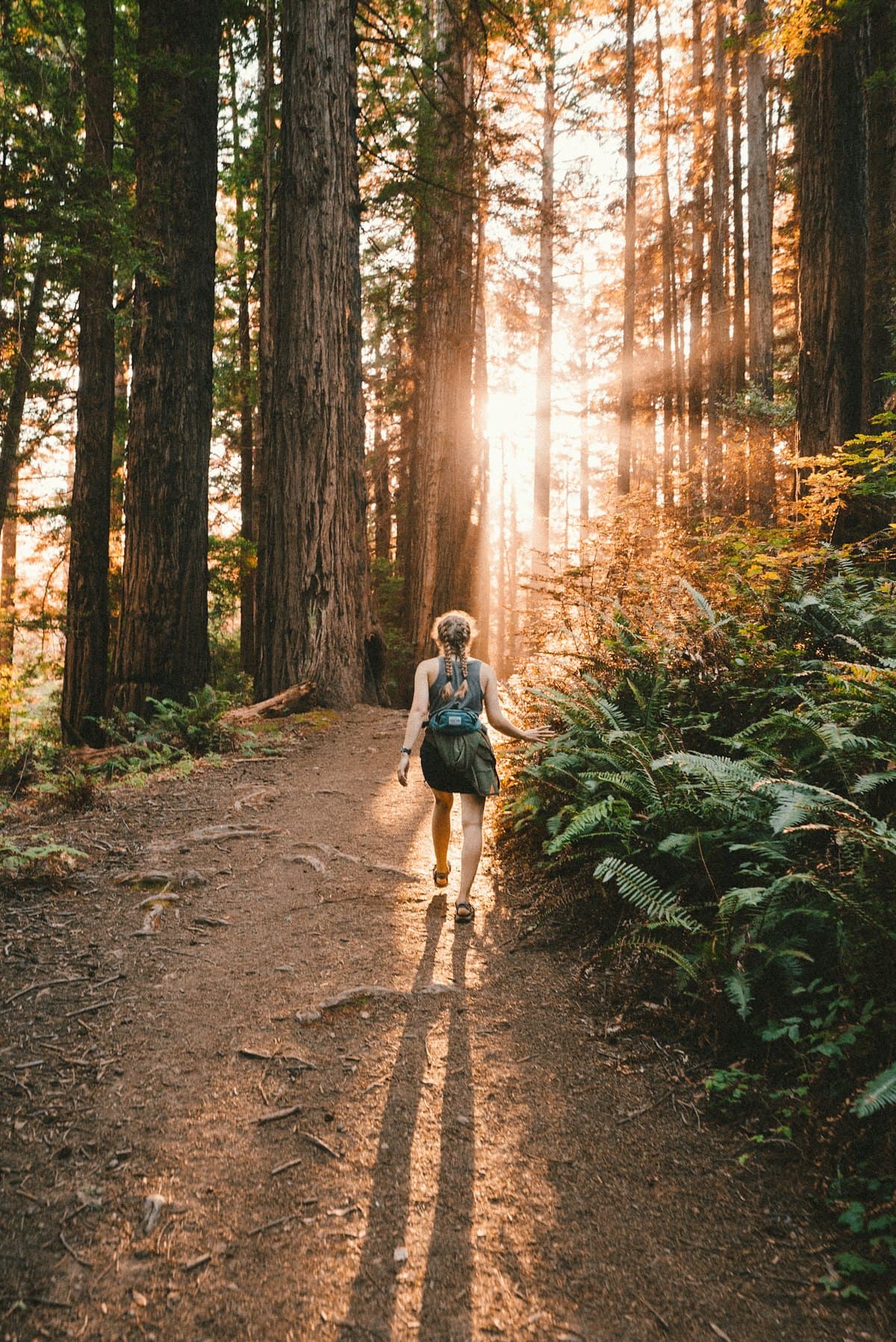 Marche sur un sentier forestier traversé par la lumière de fin d’après-midi.
